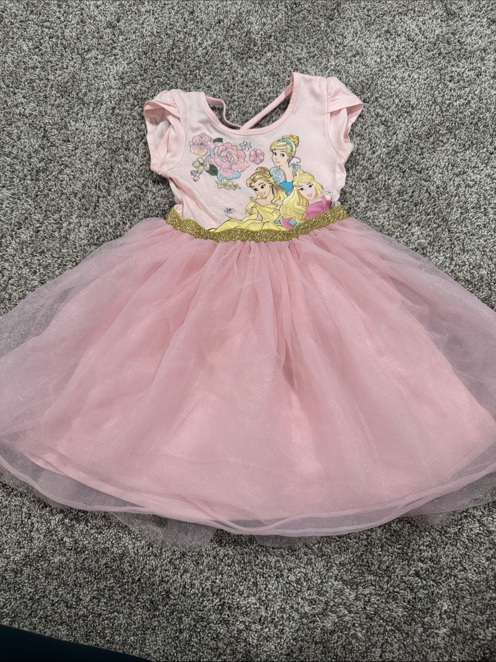 Disney Pink Princess Tulle Dress with Gold Waistband